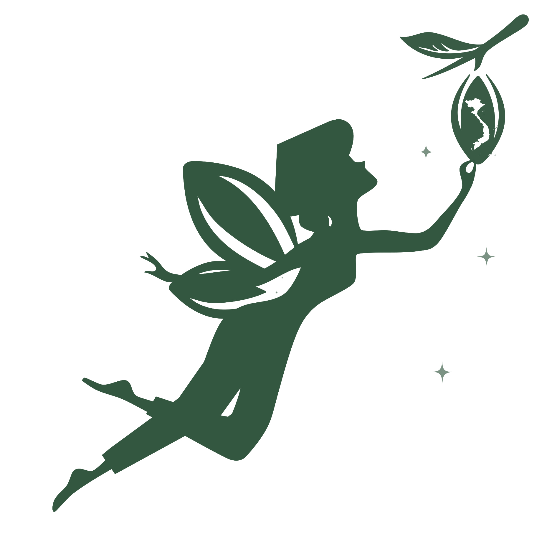 The Fairy Vietnam — D'art Signature Series