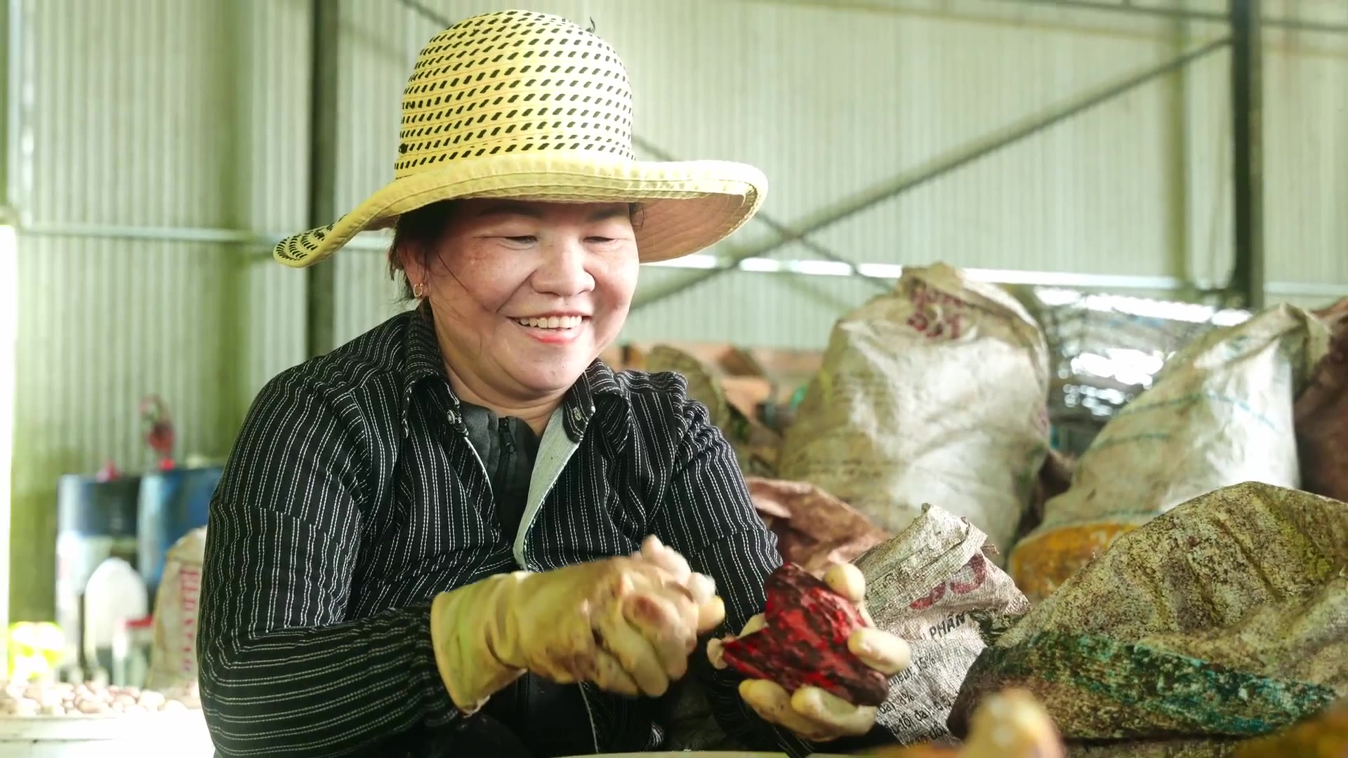 A Vietnamese cacao farmer in a woven sun hat, smiling as she opens a ripe cacao pod by hand at the collection point, sacks of pods stacked behind her