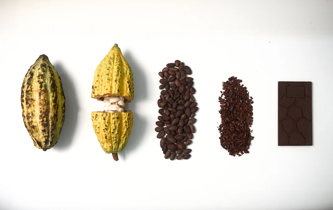 A cacao pod, a split pod, fermented beans, cacao nibs and a finished bar of chocolate arranged in sequence